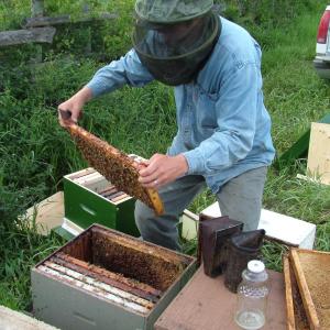 hives2