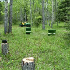 hives3